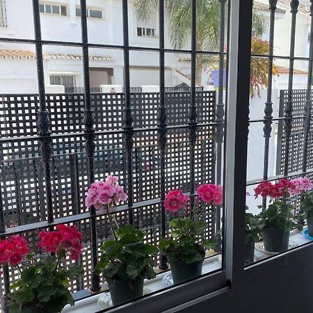 Studio -Patio Andaluz- Marbella Eksteriør bilde